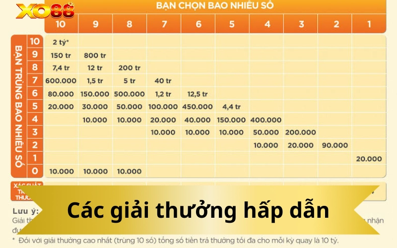 Các giải thưởng hấp dẫn