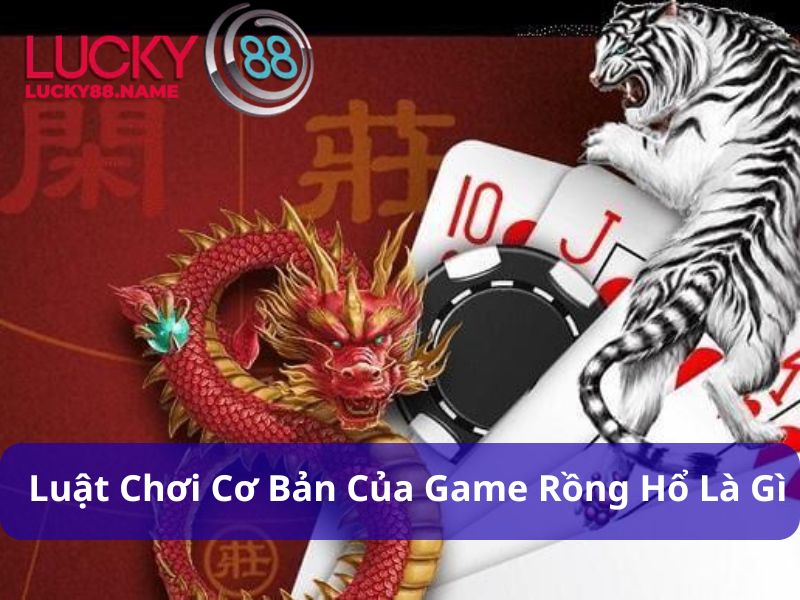Luật chơi cơ bản của Game Rồng Hổ